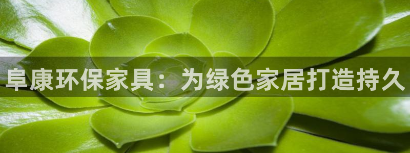 杏耀平台官网