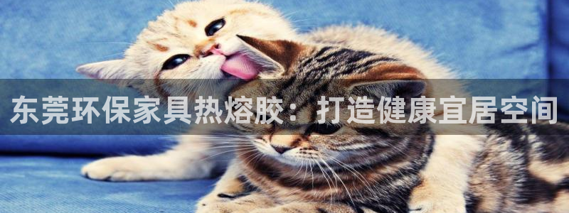 杏耀平台线路
