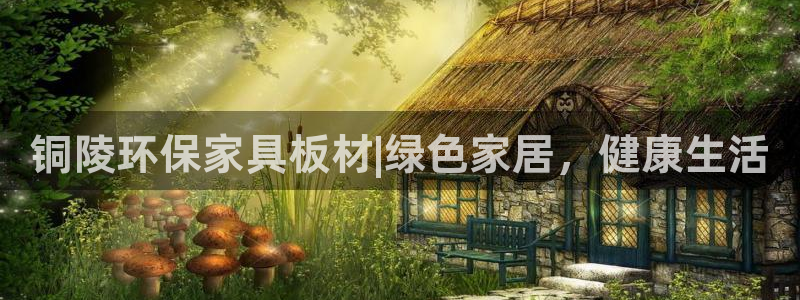 杏耀平台黑款