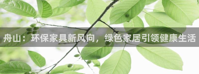 杏耀平台网页版