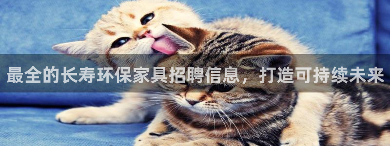 杏耀登入测速