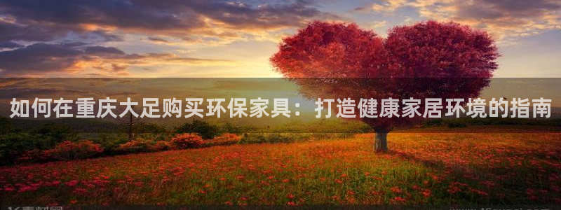 杏耀软件
