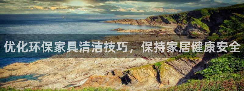 杏耀代理日工资多少