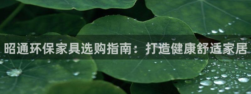 杏耀总代