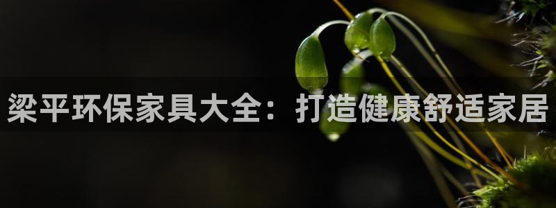 杏耀官方网