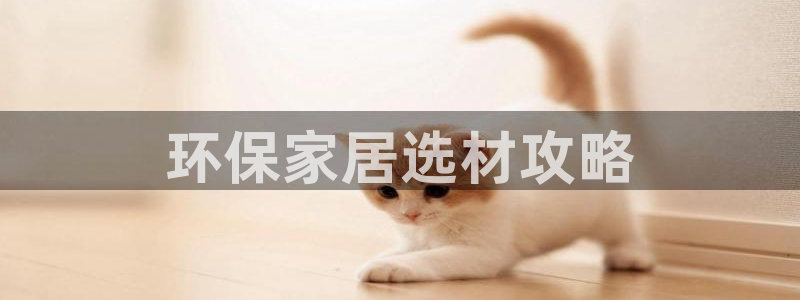 杏耀代理日工资多少