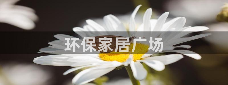 杏耀代理日工资多少