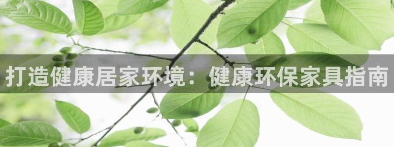 杏耀总代理