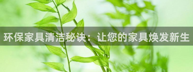 杏耀软件
