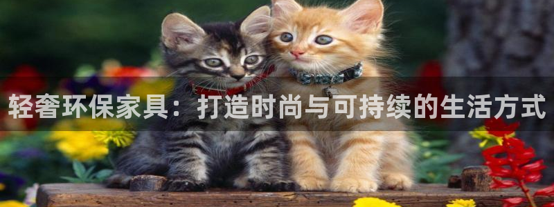 杏耀平台怎样