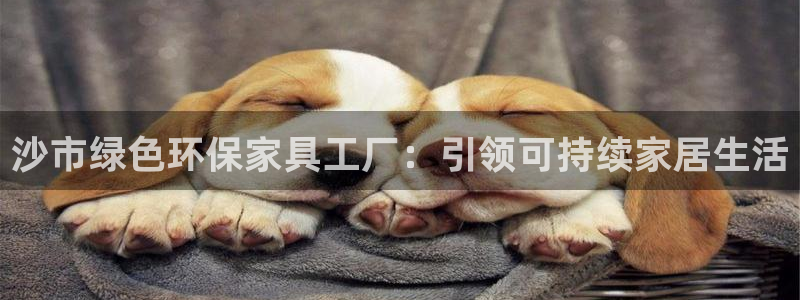 杏耀平台怎样