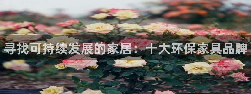 杏耀平台主管