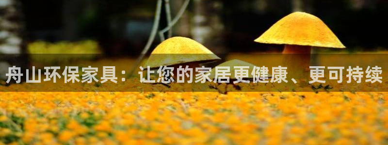 杏耀开户app下载：舟山环保家具：让您的家居更健康、更可持续