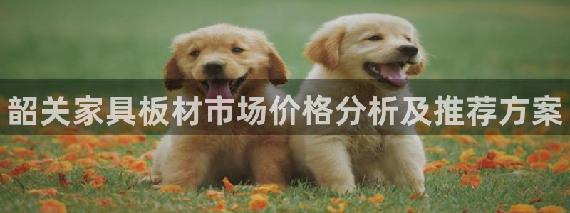 杏耀注册平台官网：韶关家具板材市场价格分析及推荐方案