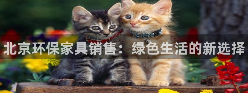 杏耀平台代理怎么赚钱快