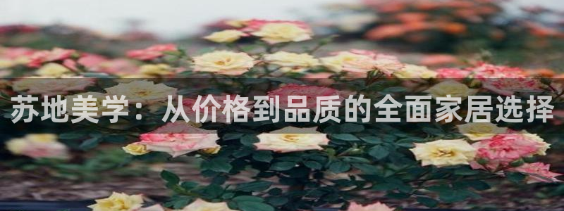杏耀平台代理怎么赚钱的