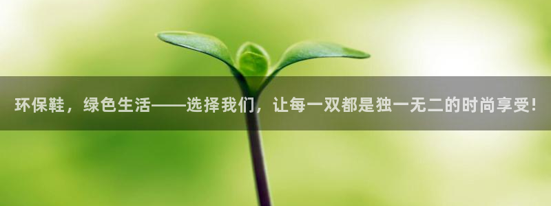 杏耀平台已注册入口：环保鞋，绿色生活——选择我们，让每一双都