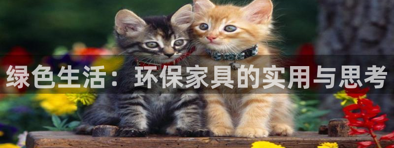 杏耀平台怎么样：绿色生活：环保家具的实用与思考