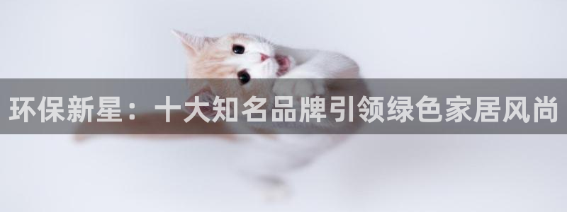 杏耀平台网站是什么：环保新星：十大知名品牌引领绿色家居风尚