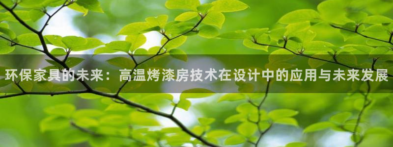 杏耀平台招商的流程：环保家具的未来：高温烤漆房技术在设计中的