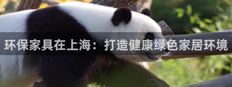 杏耀官网网站中心：环保家具在上海：打造健康绿色家居环境