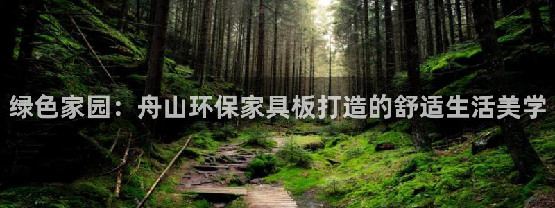 杏耀平台服务中心：绿色家园：舟山环保家具板打造的舒适生活美学