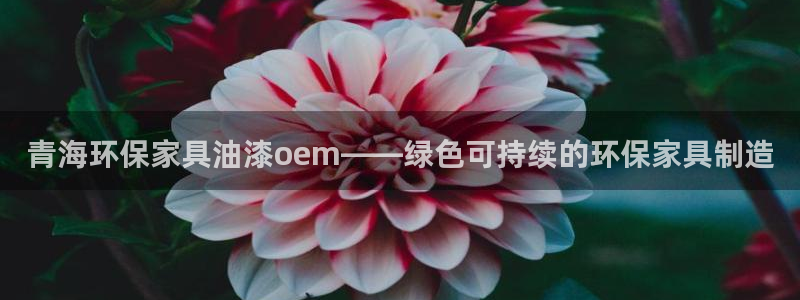 杏耀登入测速：青海环保家具油漆oem——绿色可持续的环保家具