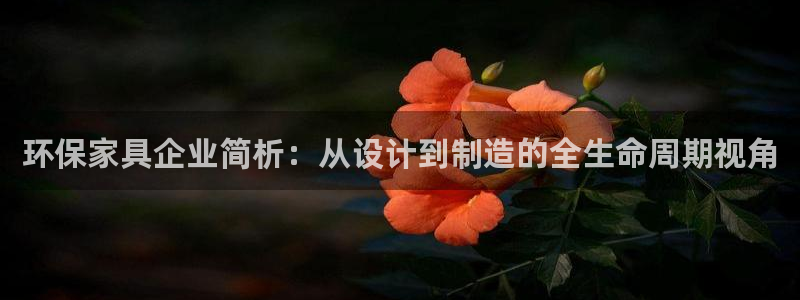 杏耀平台官网网址：环保家具企业简析：从设计到制造的全生命周期
