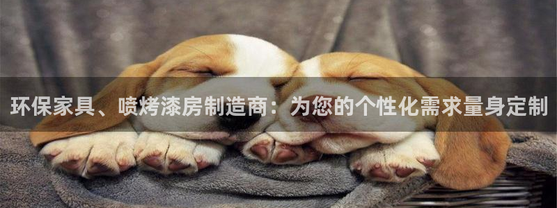 杏耀注册登录中心：环保家具、喷烤漆房制造商：为您的个性化需求