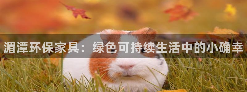 杏耀测速网址电脑版：湄潭环保家具：绿色可持续生活中的小确幸