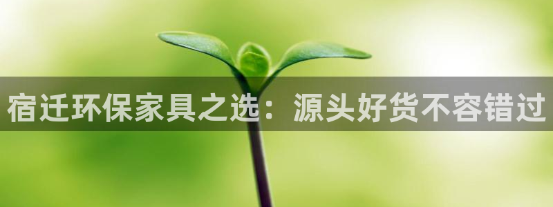 杏耀官方注册中心：宿迁环保家具之选：源头好货不容错过