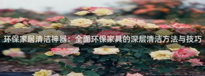 杏耀注册登入：环保家居清洁神器：全面环保家具的深层清洁方法与