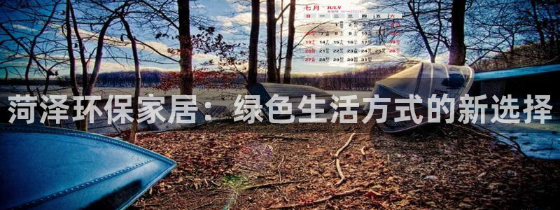 杏耀测速注册：菏泽环保家居：绿色生活方式的新选择