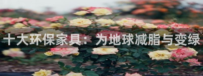 杏耀平台登陆官网：十大环保家具：为地球减脂与变绿
