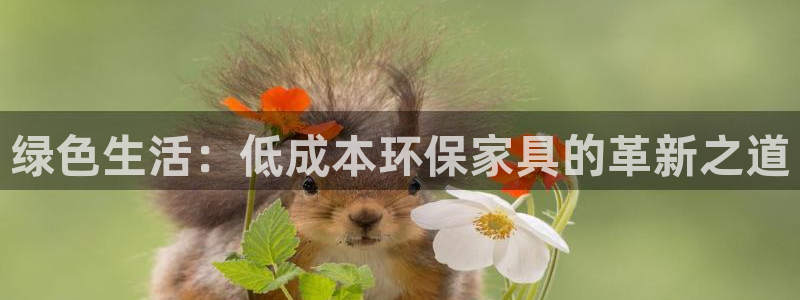 杏耀手机登录线路测速：绿色生活：低成本环保家具的革新之道