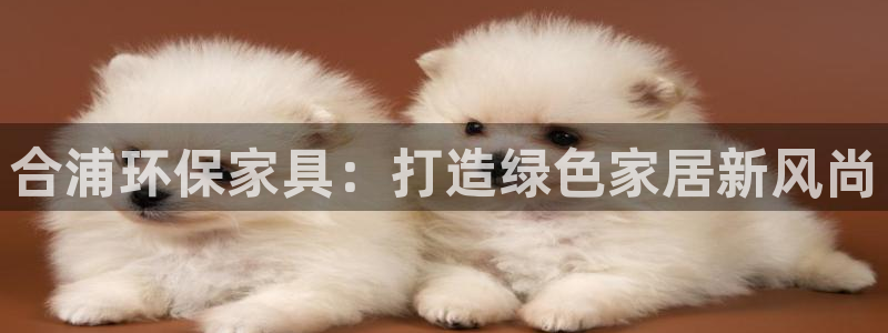 杏耀平台代理登录网址是什么：合浦环保家具：打造绿色家居新风尚