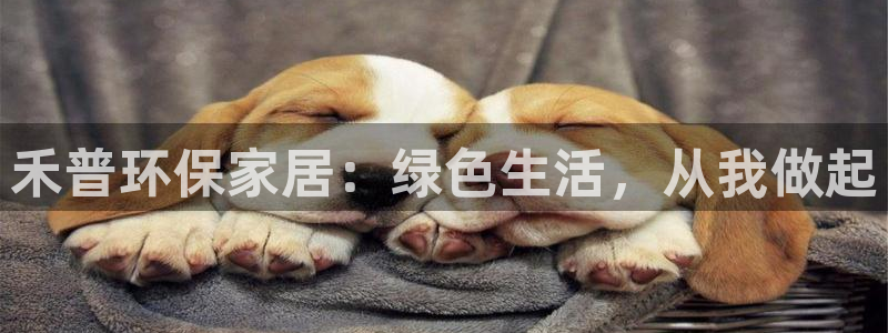 杏耀测速登录地址：禾普环保家居：绿色生活，从我做起