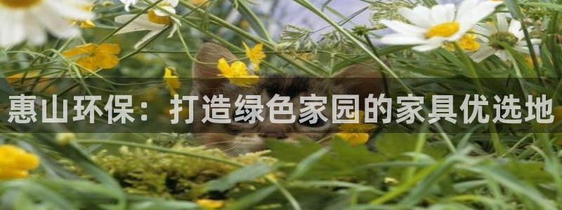 杏耀平台注册问一问：惠山环保：打造绿色家园的家具优选地