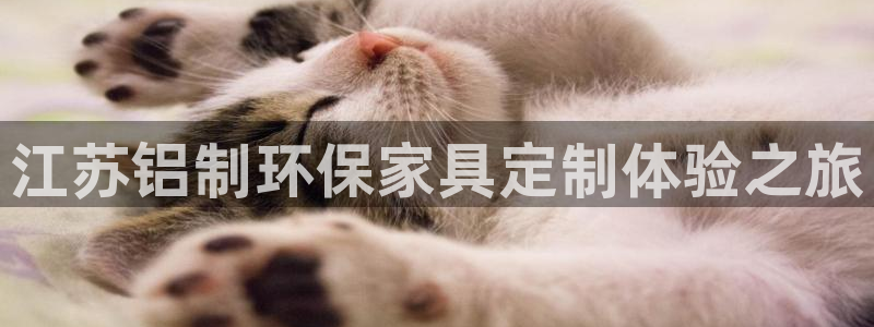 杏耀平台测：江苏铝制环保家具定制体验之旅