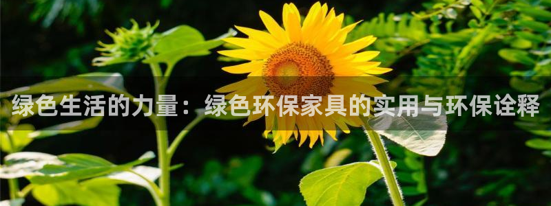 杏耀平台登录入口：绿色生活的力量：绿色环保家具的实用与环保诠