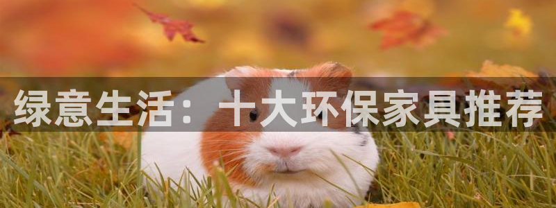 杏耀平台网页版