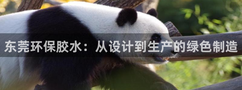 杏耀平台登录网址是什么：东莞环保胶水：从设计到生产的绿色制造