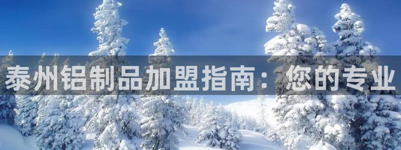 杏耀官网主管：泰州铝制品加盟指南：您的专业