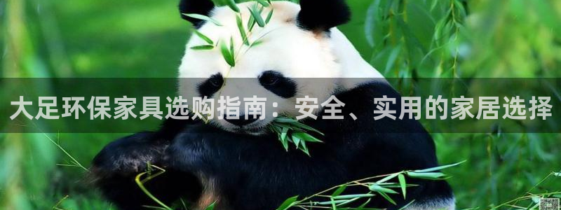杏耀登陆电脑线路测速：大足环保家具选购指南：安全、实用的家居