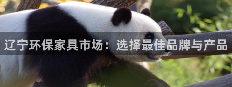 杏耀平台注册：辽宁环保家具市场：选择最佳品牌与产品